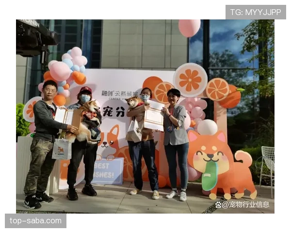 大阪刚买下比她家还大的狗屋，给两只柴犬开派对